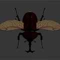 Realistic Beetle With Large Horns Yellow Veined Wings And Crimson Body