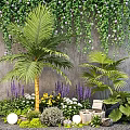 Colorful Flowers and Palm Plants with Stone Wall Wooden Crate and Small Lights