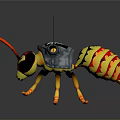 Wasp 3D Model With Detailed Yellow Black Body Transparent Wings Orange Legs Red Yellow Head