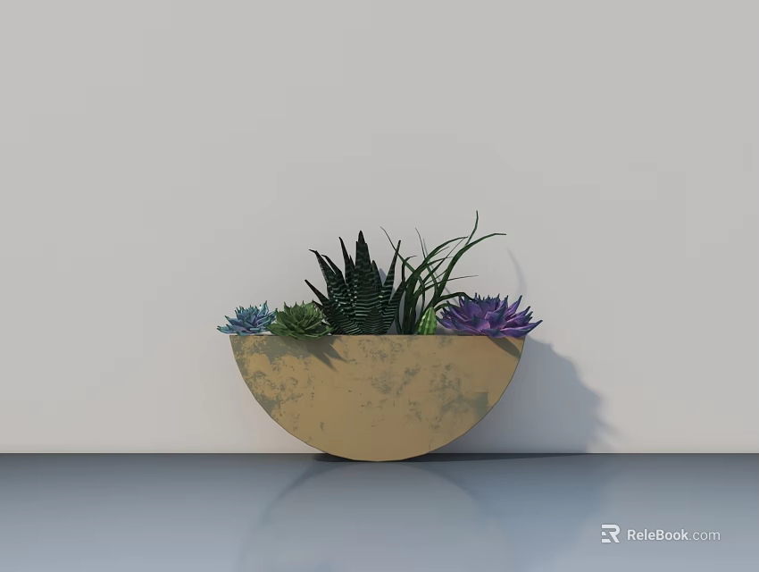 Succulent Bonsai Potted Plant with Various Colored Leaves in Light Brown Pot on Smooth Surface against White Wall 3d model 