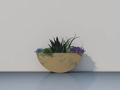 Succulent Bonsai Potted Plant with Various Colored Leaves in Light Brown Pot on Smooth Surface against White Wall 3d model
