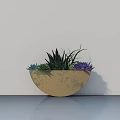 Succulent Bonsai Potted Plant with Various Colored Leaves in Light Brown Pot on Smooth Surface against White Wall