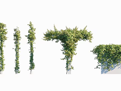Lush Green Climbing Vines With Dense Leaves For Garden Decoration And Wall Covering 3d model