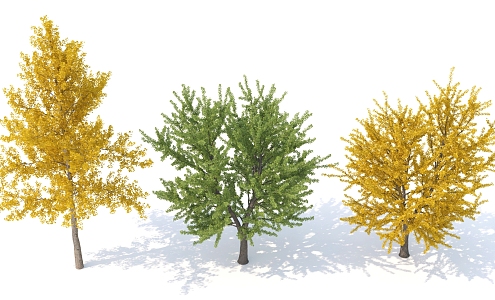 Tree Landscape Tree Landscape Tree Courtyard Tree Combination Big Tree Summer Tree Autumn Tree Garden Tree Pine Tree Park Tree Outdoor Tree 3d model