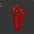 Whole Red Lobster with Claws and Antennae Isolated on Gray Background Close Up View