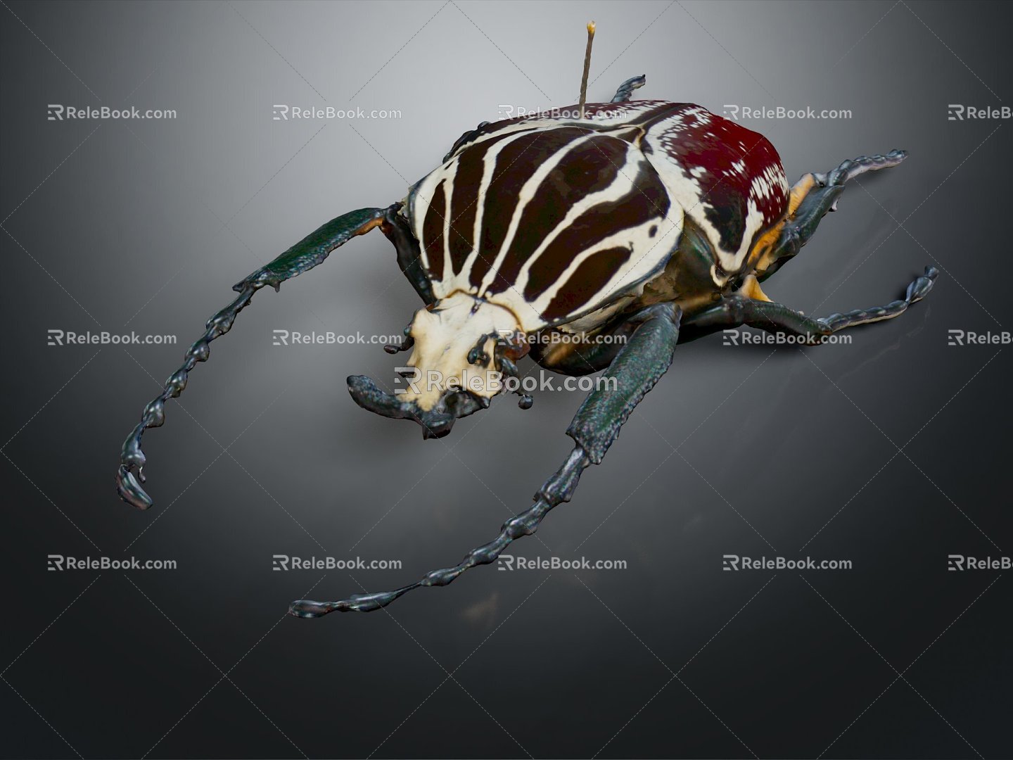 Modern scarab beetle 3d model