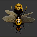 Realistic Wasp With Yellow And Black Body Large Eyes Transparent Wings On Dark Background