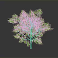 Lush Green Tree With Brown Trunk And Dense Foliage On Gray Background