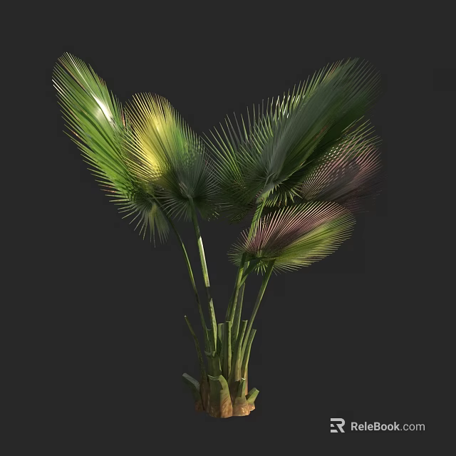 Tropical Arbor With Green Yellow And Purple Palm Leaves In Dark Background 3d model 