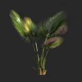 Tropical Arbor With Green Yellow And Purple Palm Leaves In Dark Background
