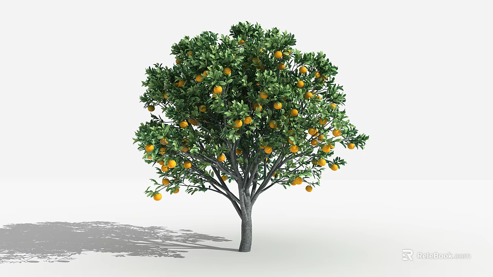 Tall Fruit Tree With Abundant Oranges And Lush Green Leaves In Garden 3d model 