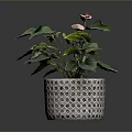 Potted Plant With Green Leaves And Pink Flowers In Woven Pattern Pot