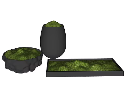 Bonsai Potted Plants with Green Grass in Black Containers of Various Shapes 3d model