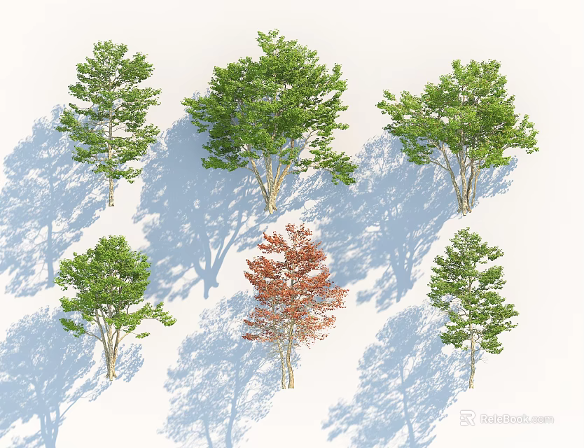 Six Arbor Trees With Green Red Foliage And Natural Shadows For Landscaping 3d model 