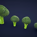 Four Fresh Broccoli Arranged From Large To Small On Dark Blue Background
