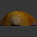 Detailed Scientific Illustration of Organs and Hair Structures in Human Body