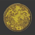 Rusty Yellow Radioactive Barrel With Radiation Warning Symbol On Dark Surface