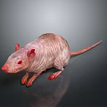 Cartoon Mouse Animated Mouse Grey Mouse Anime Mouse Cartoon Character 3d model