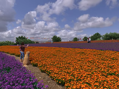 Scenic Flower Field With Orange And Purple Blooms Under Blue Sky White Clouds 3d model
