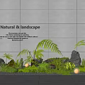 Natural Indoor Landscape Design With Green Ferns Rocks Moss And Lighting Against Gray Textured Wall