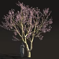 Tall Tree With Pink Blossoms And Stone Statue Standing Under 3d model