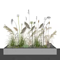 Wild Grass and Flower Arrangement in Concrete Planter with White Wall Shadows and Stones