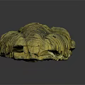 Ancient Trilobite Fossil With Detailed Exoskeleton Structure And Prehistoric Features