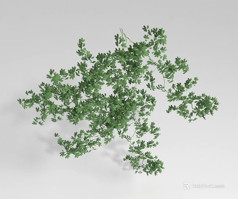 Lush Green Vines With Fresh Leaves And Natural Decorative Growth Pattern 3d model 