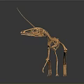 Small Animal Skeleton Display With Long Tail And Detailed Bone Structure On Dark Reflective Surface 3d model