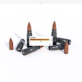 Firearms Bullets 3d model