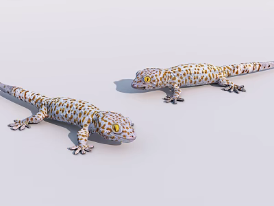 Two Spotted Reptile Geckos With Yellow Eyes On Light Background 3d model