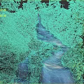 Scenic Natural Waterfall Scene With Flowing Blue Water Lush Green Vegetation And Rocks