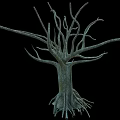 Stone and Wood Textured Leafless Tree Trunk with Bare Branches Against Blue Sky 3d model
