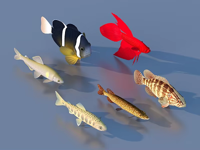 Various Colorful Aquatic Animals Including Striped Spotted Red and Black White Fish Varieties 3d model