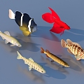 goldfish ornamental fish pet fish koi carp 3d model