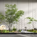 Indoor Landscape With Green Leaf Tree Moon Decoration Lantern Pebbles Moss And Light Shadow 3d model