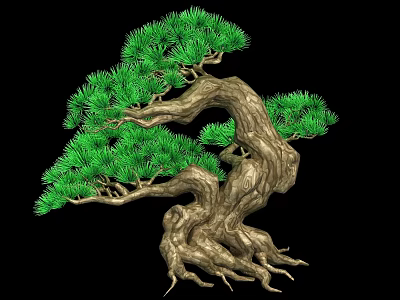 Artistic Bonsai Pine Tree With Twisted Trunk Green Needles And Exposed Roots 3d model