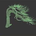 Dry Tree with Twisted Trunk and Leafless Stretched Branches on White Background with Smooth Surface