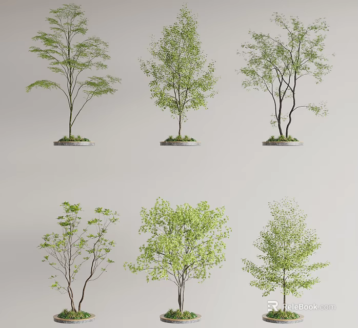 Diverse Tree Varieties With Different Branch Structures And Lush Green Foliage 3d model 