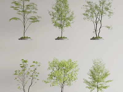 Modern Tree Landscape Tree Big Tree 3d model