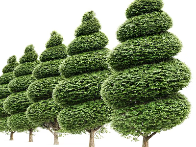Spiral Pruned Arbor Trees With Green Lush Foliage In Garden Landscape 3d model