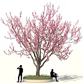 Tall Tree With Pink Blossoms And Two People Standing And Sitting On Circular Grass Base