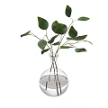 Modern Decorative Ornament Set With Transparent Glass Vase Containing Green Leaf Plant And Water