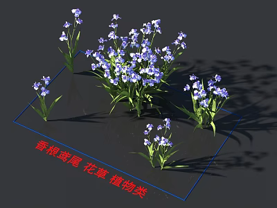Sweet Iris Flowers And Plants With Beautiful Blooms And Green Leaves 3d model