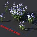 Sweet Iris Flowers And Plants With Beautiful Blooms And Green Leaves