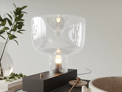Modern Transparent Glass Table Lamp with Wooden Base Warm Light and Green Plant on Desktop 3d model
