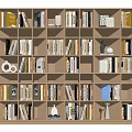 Modern Bookcase Oblique Bookcase Book Combination Book 3d model