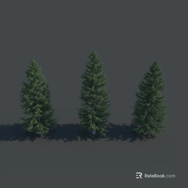 Three Tall Green Pine Trees Standing Together With Natural Shadows 3d model 