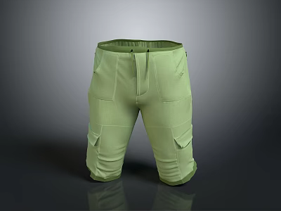 Cargo Style Green Shorts With Multiple Functional Pockets For Daily Wear 3d model