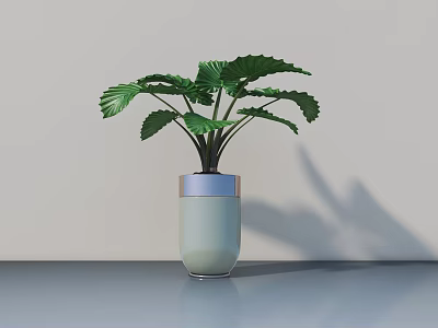 Green Leaf Potted Plant in Light Green Pot with Silver Rim on Gray Surface 3d model